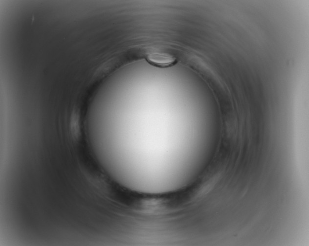 X0000089690216200707051631