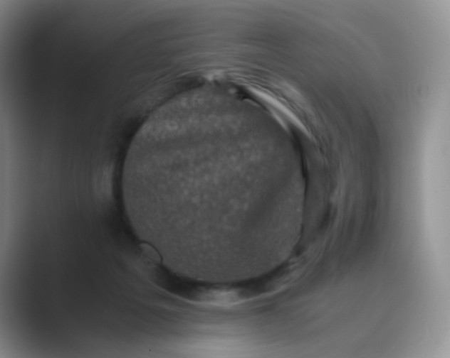 X0000089690217200707051631