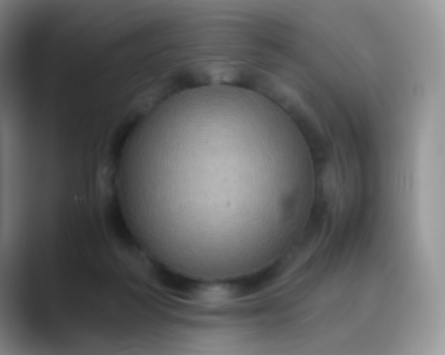 X0000089690218200707051631