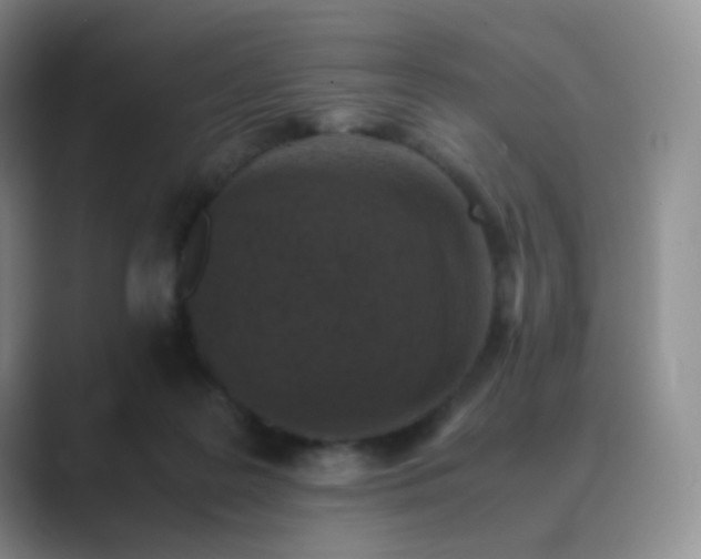 X0000089690219200707051631