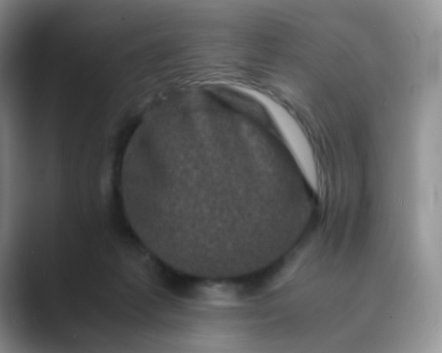 X0000089690221200707051631