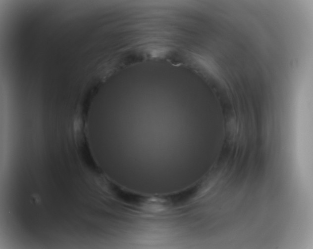 X0000089690222200707051631