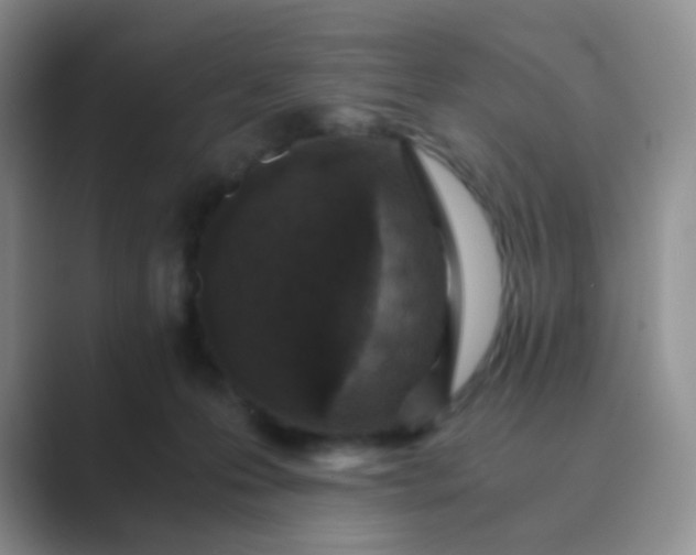 X0000089690223200707051631