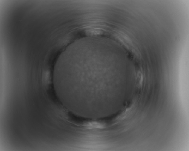 X0000089690224200707051631