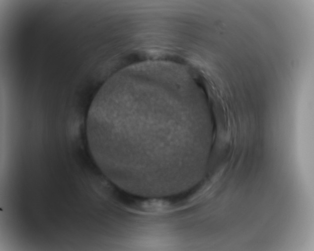 X0000089690225200707051631