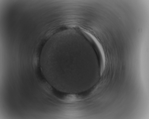 X0000089690227200707051631