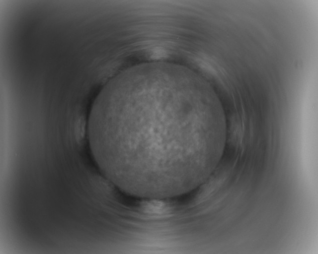 X0000089690230200707051630