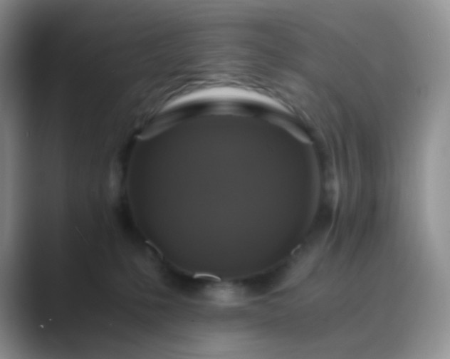 X0000089690231200707051630