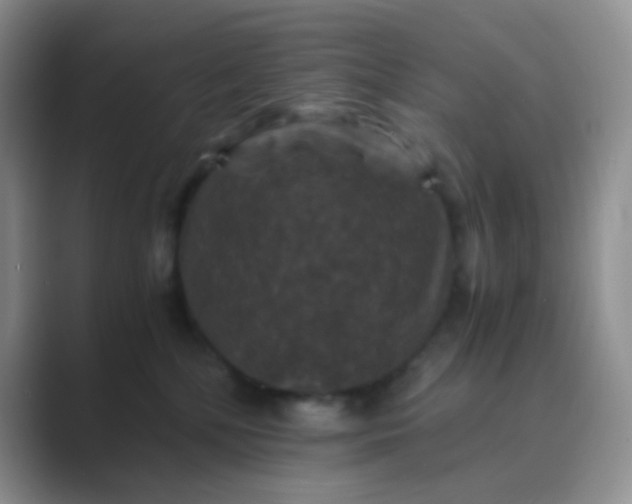 X0000089690232200707051630