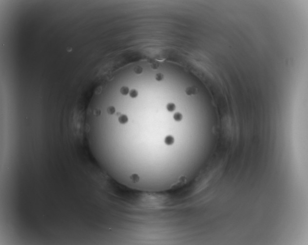 X0000089690234200707051630