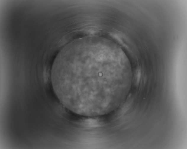 X0000089690236200707051630