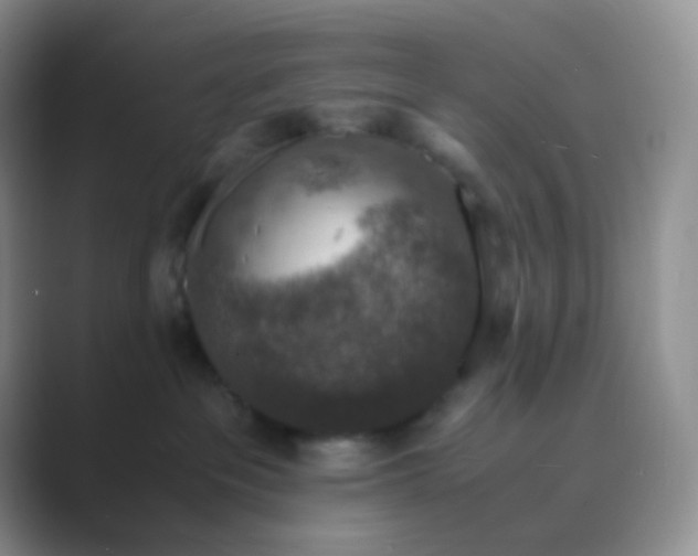 X0000089690237200707051630