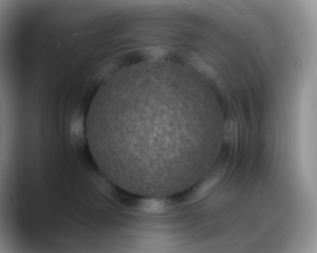 X0000089690238200707051630