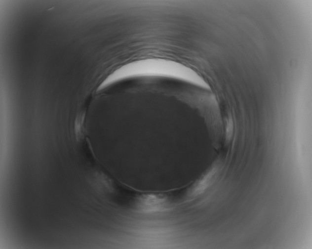 X0000089690239200707051630