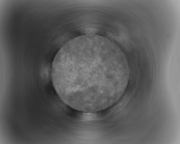 X0000089690240200707051630