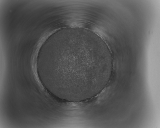 X0000089690241200707051630