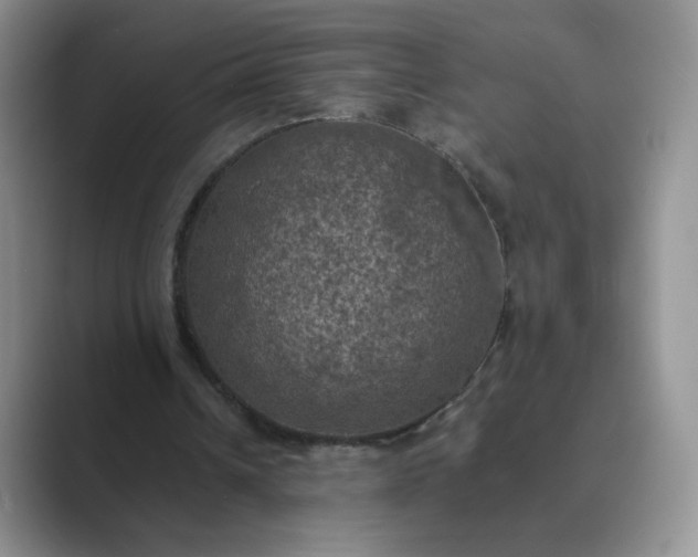 X0000089690242200707051630