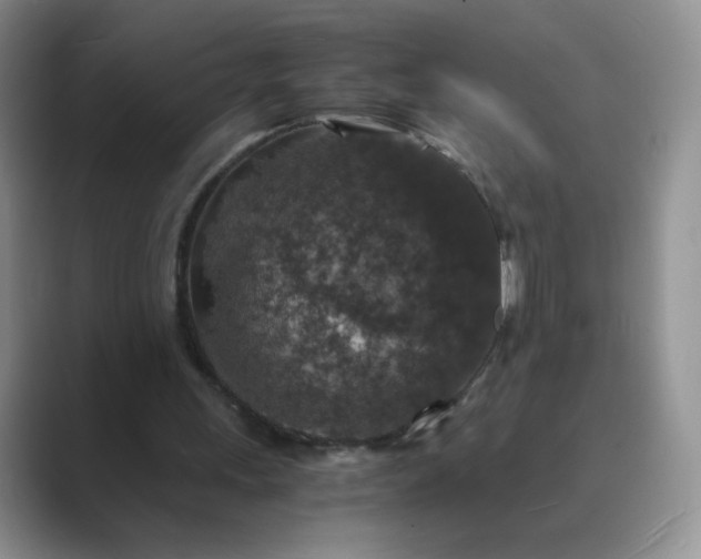 X0000089690243200707051630