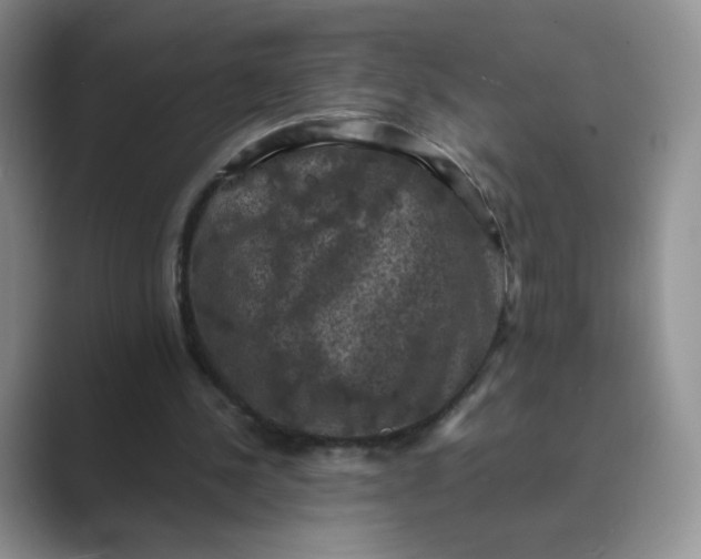 X0000089690244200707051630