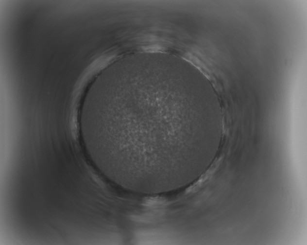 X0000089690245200707051630