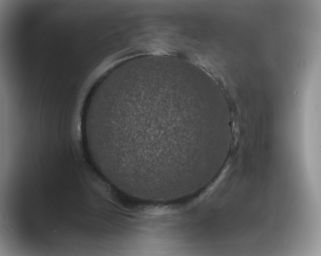 X0000089690246200707051630