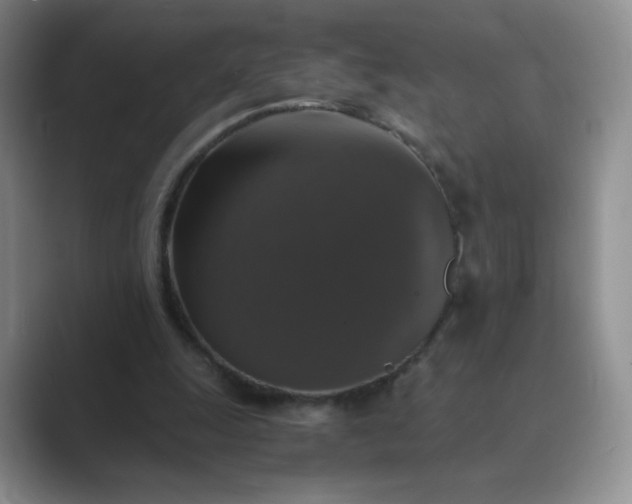 X0000089690247200707051630