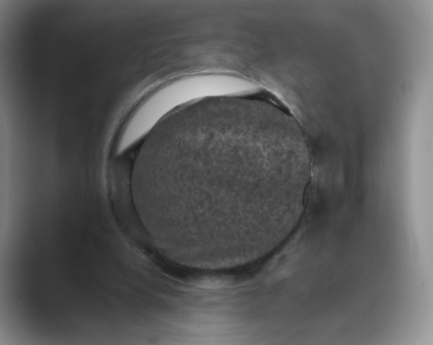 X0000089690248200707051630