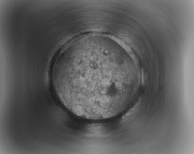 X0000089690252200707051630