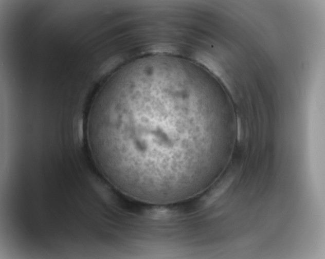 X0000089690253200707051630