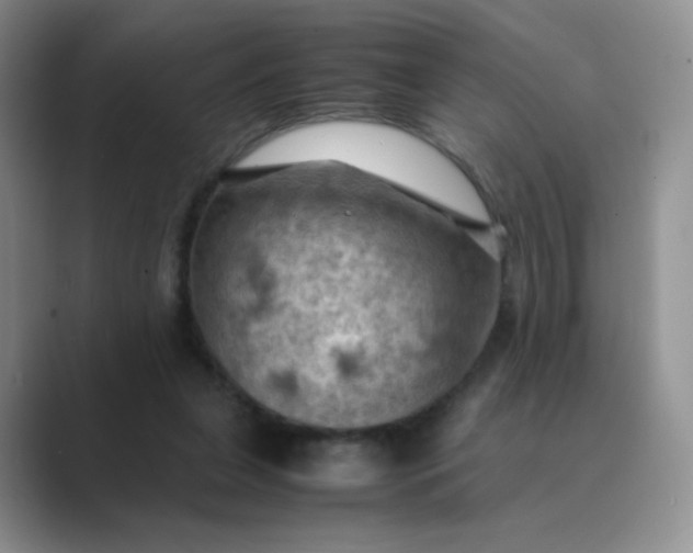 X0000089690255200707051630