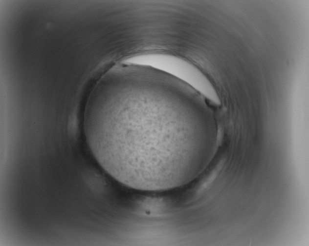 X0000089690256200707051630