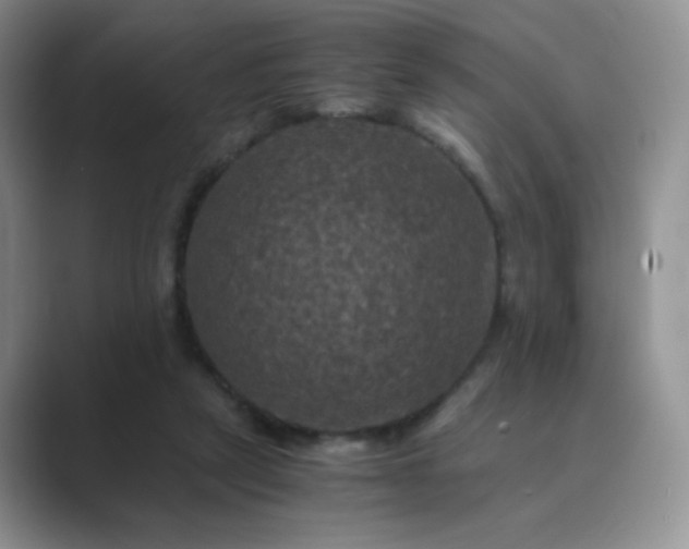 X0000089690257200707051630