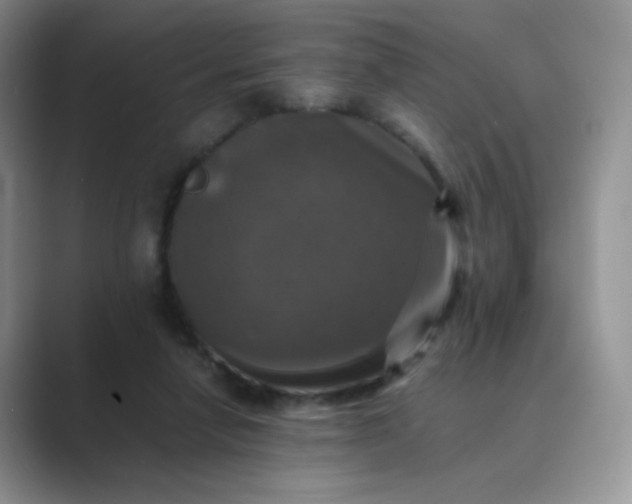 X0000089690258200707051630