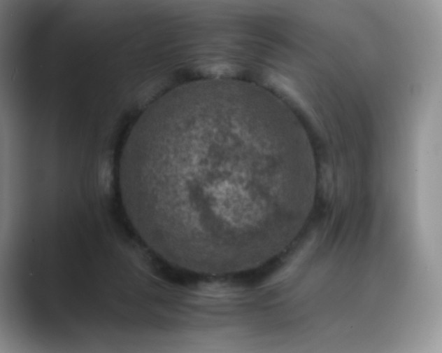 X0000089690259200707051630