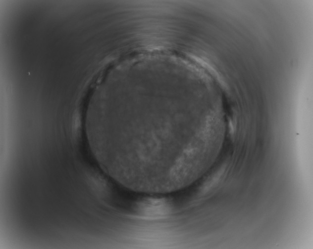 X0000089690260200707051630