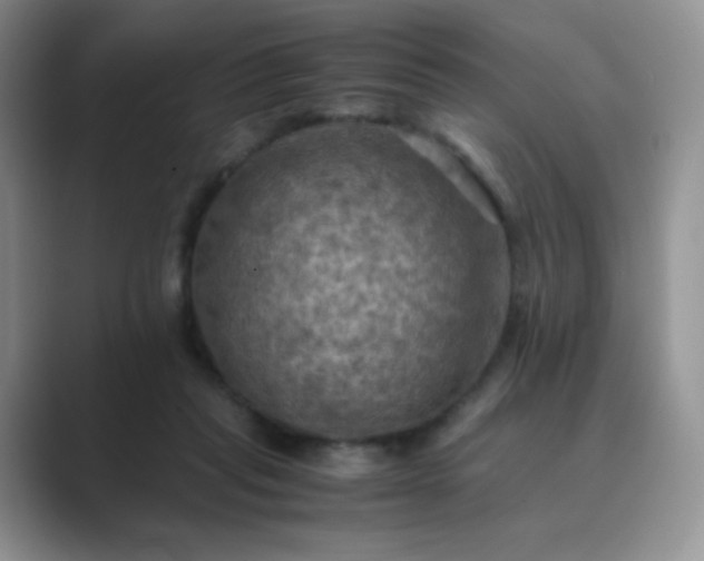 X0000089690261200707051630