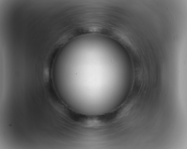 X0000089690262200707051630