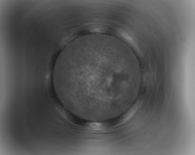 X0000089690265200707051630