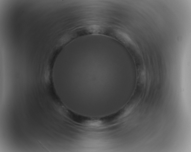 X0000089690266200707051630