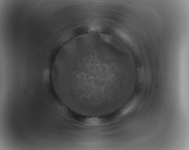 X0000089690269200707051630