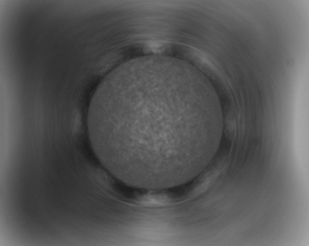 X0000089690270200707051630