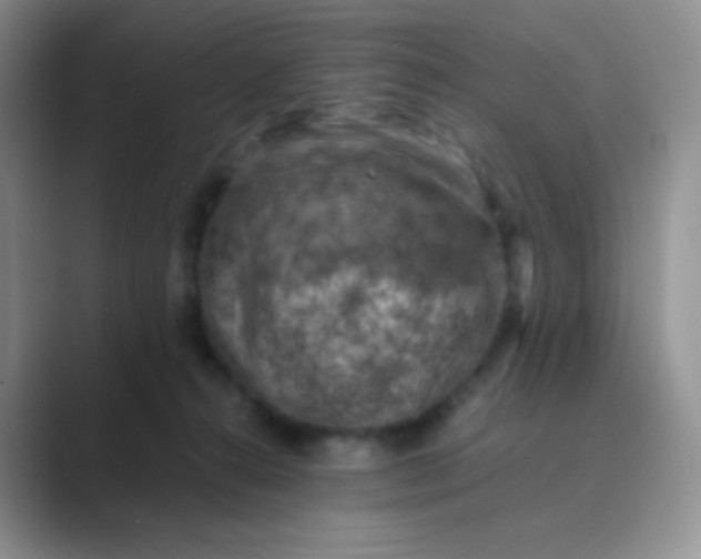 X0000089690272200707051630