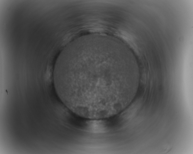 X0000089690273200707051630