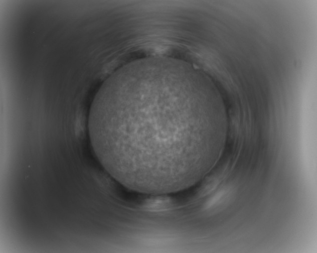 X0000089690274200707051630