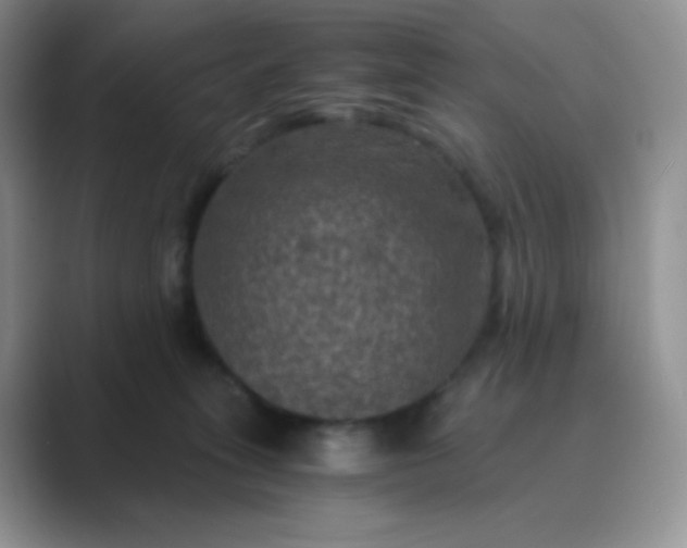 X0000089690275200707051630