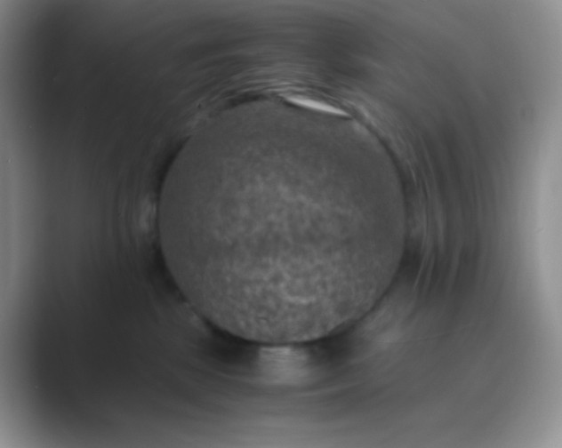 X0000089690281200707051630