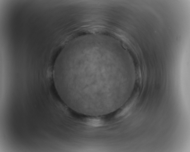 X0000089690284200707051630