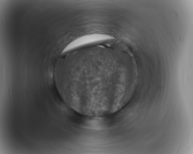 X0000089690288200707051630