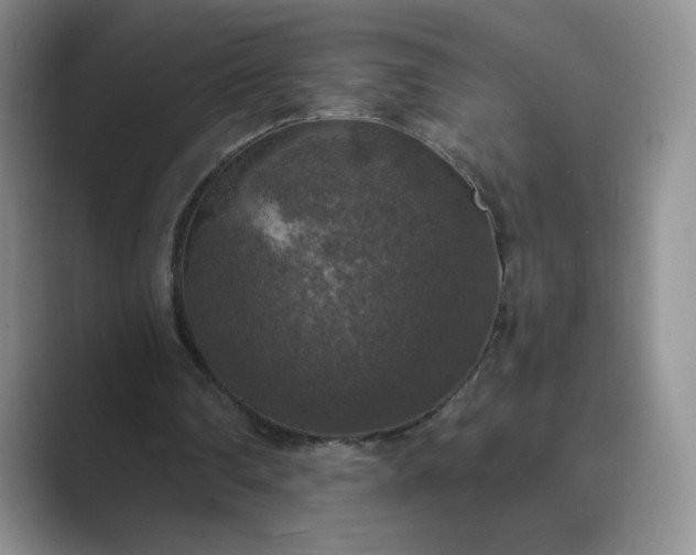 X0000089690290200707051630