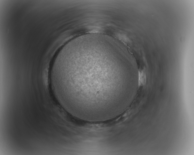 X0000089690291200707051630